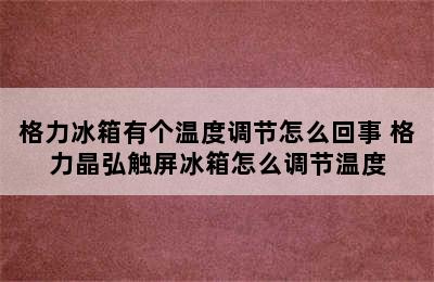 格力冰箱有个温度调节怎么回事 格力晶弘触屏冰箱怎么调节温度